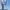 https://res.cloudinary.com/billionhands/image/upload/v1775069257/items/go7hjne1ycidakcbo7wq.jpg-3cover