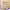 https://res.cloudinary.com/billionhands/image/upload/v1775069264/items/c4vuoqxroecruvs7yyxl.jpg-0cover