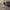https://res.cloudinary.com/billionhands/image/upload/v1775069445/items/jbutpjcujtzijverwhas.jpg-0cover