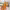 https://res.cloudinary.com/billionhands/image/upload/v1775069547/items/shzpt8spu769vpcrggvk.jpg-0cover