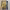 https://res.cloudinary.com/billionhands/image/upload/v1775069560/items/gmtblx9cyrlx16oamcke.jpg-2cover