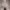 https://res.cloudinary.com/billionhands/image/upload/v1775069691/items/po9ftrsfufvklguypuzz.jpg-0cover