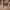https://res.cloudinary.com/billionhands/image/upload/v1775069714/items/wz1qjp4nqrze86wev6lq.jpg-0cover