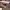 https://res.cloudinary.com/billionhands/image/upload/v1775069717/items/jwg0zyttvk9zukxusjgb.jpg-0cover