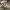 https://res.cloudinary.com/billionhands/image/upload/v1775069722/items/ranlpvomjqqdx9um7gww.webp-2cover