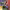 https://res.cloudinary.com/billionhands/image/upload/v1775069774/items/gspz3vvhmkgbnierwdzq.jpg-0cover