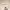 https://res.cloudinary.com/billionhands/image/upload/v1775069930/items/thrf4qtwfnn1tpmxdrkv.webp-2cover