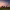 https://res.cloudinary.com/billionhands/image/upload/v1775069937/items/rplts2reyrtl9hdfzdb0.webp-3cover