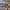 https://res.cloudinary.com/billionhands/image/upload/v1775069939/items/j4r0loiqam2okiczevlu.webp-2cover