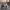 https://res.cloudinary.com/billionhands/image/upload/v1775070002/items/aqpndqtg0ss9qtf9sttz.jpg-0cover