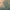 https://res.cloudinary.com/billionhands/image/upload/v1775070016/items/twzigdjhgcggpifdy8wv.avif-0cover