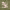 https://res.cloudinary.com/billionhands/image/upload/v1775070071/items/elqr8nfnmg5abcsatblj.webp-3cover