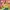 https://res.cloudinary.com/billionhands/image/upload/v1775070084/items/rhlwccbnf5r0vyochozg.webp-3cover