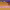 Joshua Tree Music Festival (Joshua Tree, California, USA) (2026) cover