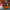 Online Master of Arts in School Counseling (Sacred Heart University) cover