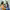 MS in School Counseling (Walden University) cover