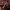 https://res.cloudinary.com/billionhands/image/upload/v1775070198/items/gyytgd3wvf7h5gcpjqd7.avif-3cover
