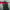 https://res.cloudinary.com/billionhands/image/upload/v1775070206/items/morlksxueubz6nsfoybs.jpg-0cover