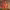 https://res.cloudinary.com/billionhands/image/upload/v1775070210/items/nfqnrmtrokhrbejcvtaa.jpg-1cover