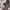 https://res.cloudinary.com/billionhands/image/upload/v1775070211/items/o6roehcdpu62o1msuckh.jpg-3cover