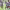 https://res.cloudinary.com/billionhands/image/upload/v1775070216/items/sbgfnx6j3jjb2xbdea1u.jpg-1cover