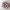 https://res.cloudinary.com/billionhands/image/upload/v1775070615/items/mmbi4md62ljsxofoom6r.jpg-1cover