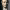 https://res.cloudinary.com/billionhands/image/upload/v1775070636/items/p06nbw9wxlkvpvqlz53r.webp-3cover