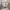 https://res.cloudinary.com/billionhands/image/upload/v1775070636/items/skwtaiqbuphgmzlbt3ua.jpg-1cover