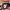 https://res.cloudinary.com/billionhands/image/upload/v1775070747/items/abolnurkz5lrkagugcvi.jpg-3cover