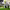 https://res.cloudinary.com/billionhands/image/upload/v1775070755/items/sm4arkkyctbzxrdw09jo.jpg-0cover