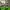 https://res.cloudinary.com/billionhands/image/upload/v1775070756/items/sfbj1rnvtcl2iouxyxjs.jpg-1cover