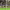https://res.cloudinary.com/billionhands/image/upload/v1775070757/items/ntgyzac99kopdtfzwobs.jpg-2cover