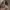 https://res.cloudinary.com/billionhands/image/upload/v1775070777/items/zk1vw1xo0z4ysrzvuqyo.jpg-2cover