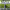 https://res.cloudinary.com/billionhands/image/upload/v1775070833/items/eza1ulkwf1lsuw9cjsmw.jpg-1cover
