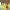 https://res.cloudinary.com/billionhands/image/upload/v1775070834/items/wcpijaywfnuacua078av.webp-0cover