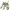 https://res.cloudinary.com/billionhands/image/upload/v1775070839/items/sxyvcuwm4ooqljjw3vsk.png-2cover