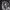 https://res.cloudinary.com/billionhands/image/upload/v1775070970/items/oyk6xfwcj1ajaj8ialos.jpg-0cover