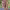https://res.cloudinary.com/billionhands/image/upload/v1775070999/items/rltzcv08u2hyctqhgb8f.webp-1cover