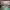 https://res.cloudinary.com/billionhands/image/upload/v1775071002/items/o6iszqcyqw6caircbpfq.jpg-0cover