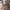 https://res.cloudinary.com/billionhands/image/upload/v1775071003/items/du114u9ra8ydcsu2iz0u.jpg-1cover