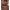 https://res.cloudinary.com/billionhands/image/upload/v1775071003/items/tslh5wgvfcsylry4br7v.png-0cover