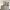 https://res.cloudinary.com/billionhands/image/upload/v1775071003/items/uz96x40s5mfvd8pil9a2.webp-0cover
