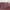 https://res.cloudinary.com/billionhands/image/upload/v1775071004/items/r1pvfziz8x9pilpr3nxe.jpg-1cover