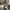 https://res.cloudinary.com/billionhands/image/upload/v1775071008/items/emyohtu6zjai3ci9sc9y.png-1cover