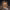 https://res.cloudinary.com/billionhands/image/upload/v1775071056/items/liabuqcpi77cbgmft2oi.jpg-3cover
