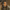 https://res.cloudinary.com/billionhands/image/upload/v1775071103/items/zedftns32m9dzgekvjpt.jpg-0cover
