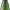 https://res.cloudinary.com/billionhands/image/upload/v1775071185/items/pkqj4pst53koeourrv65.webp-3cover