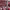 https://res.cloudinary.com/billionhands/image/upload/v1775071191/items/vzpldmua2cqweksp5rqk.webp-3cover