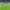 https://res.cloudinary.com/billionhands/image/upload/v1775071337/items/iderfpepblwaww24pwjp.avif-3cover
