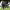 https://res.cloudinary.com/billionhands/image/upload/v1775071337/items/vbx3fdgnl1ekk0tzymp2.webp-2cover